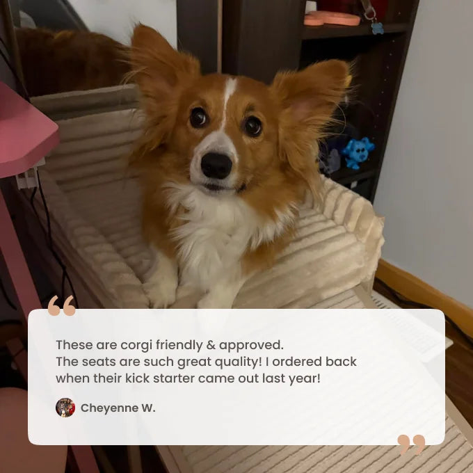 Pet Office Chair – Cozy Companion Seat for Dogs & Cats, Perfect for Home Office, Bedside & Relaxing Together