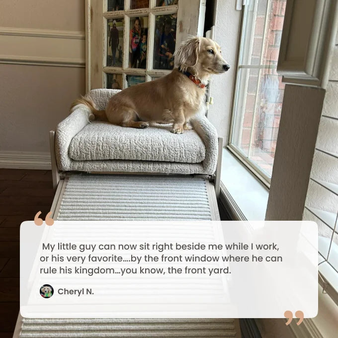 Pet Office Chair – Cozy Companion Seat for Dogs & Cats, Perfect for Home Office, Bedside & Relaxing Together