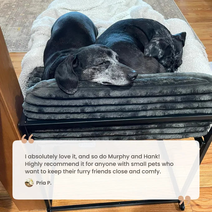 Pet Office Chair – Cozy Companion Seat for Dogs & Cats, Perfect for Home Office, Bedside & Relaxing Together